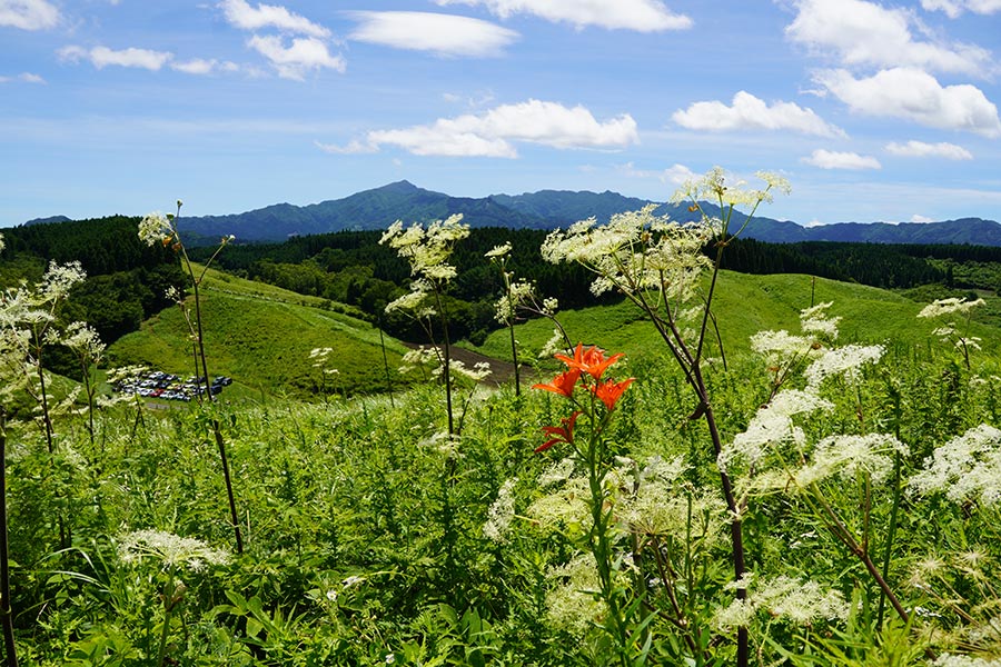 認定NPO法人 阿蘇花野協会