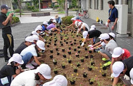 贈呈した苗を公民館に植付け
