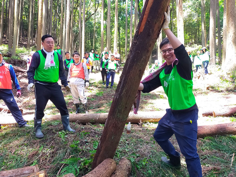 大きな伐採木を運び出すのは大変です!