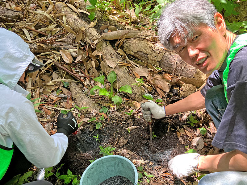 植樹の様子