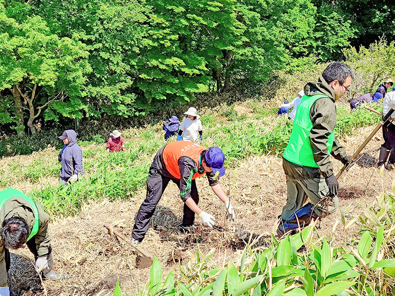 植樹の様子