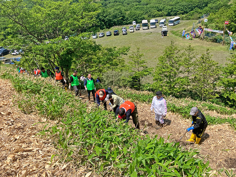 植樹の様子