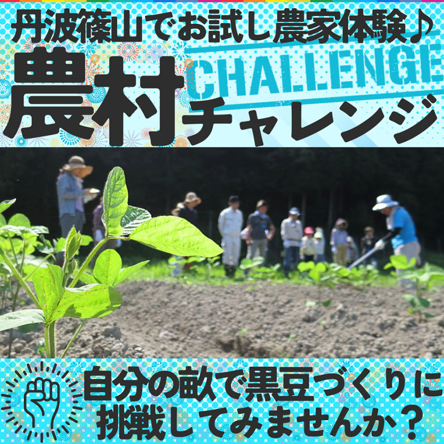 特定非営利活動法人 里地里山問題研究所