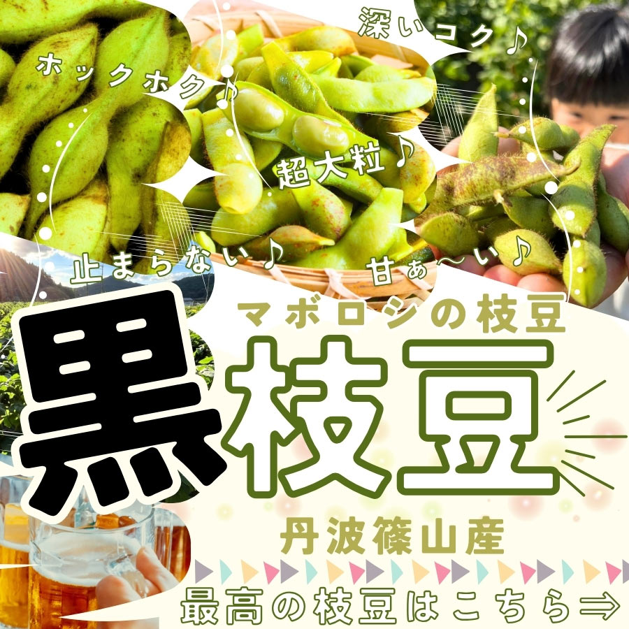 特定非営利活動法人 里地里山問題研究所