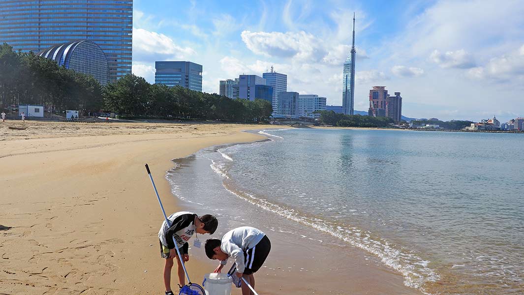 福岡セブンの海の森