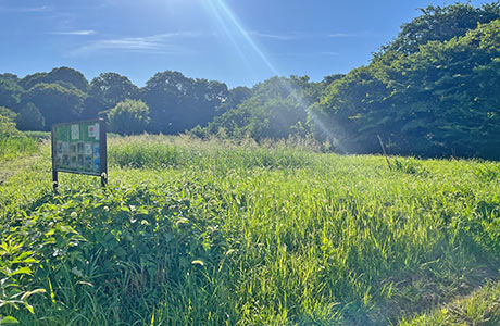 自然豊かな、「柳川生き物の里」活動に集まった、協議会の皆さん