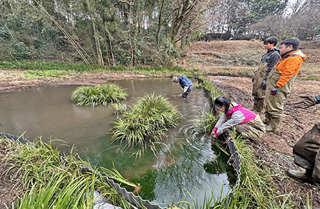 ビオトープの補修作業の様子