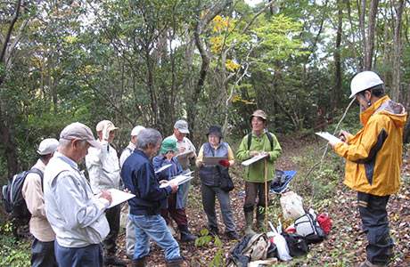 定期的に実施しているニホンジカ生息状況調査
