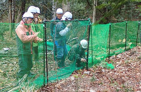 シカの食害から植生を保護するための柵の設置