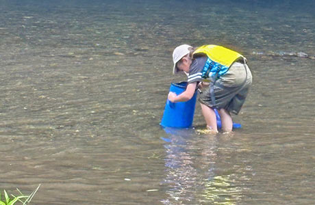 箱メガネを使って川の中を観察