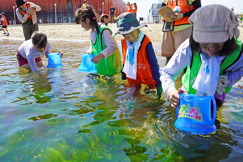 2025年9月6日（土）第8回青森セブンの海の森