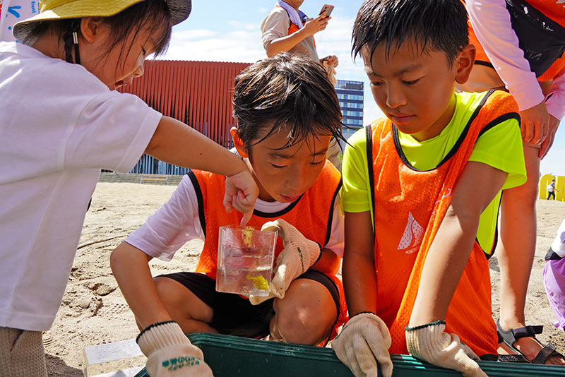 生きもの観察の様子