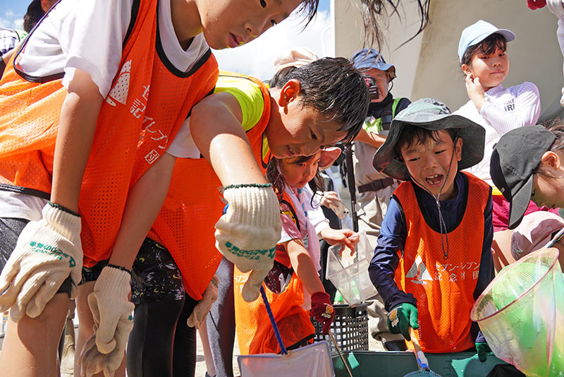 生きもの観察の様子