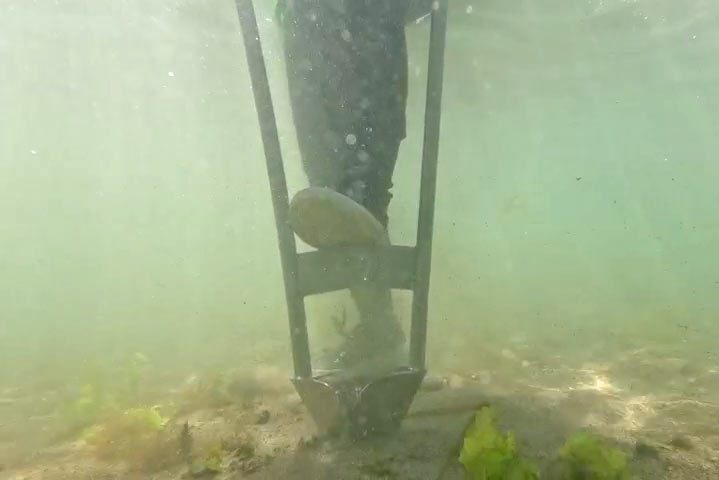 2025年9月6日（土）第8回青森セブンの海の森