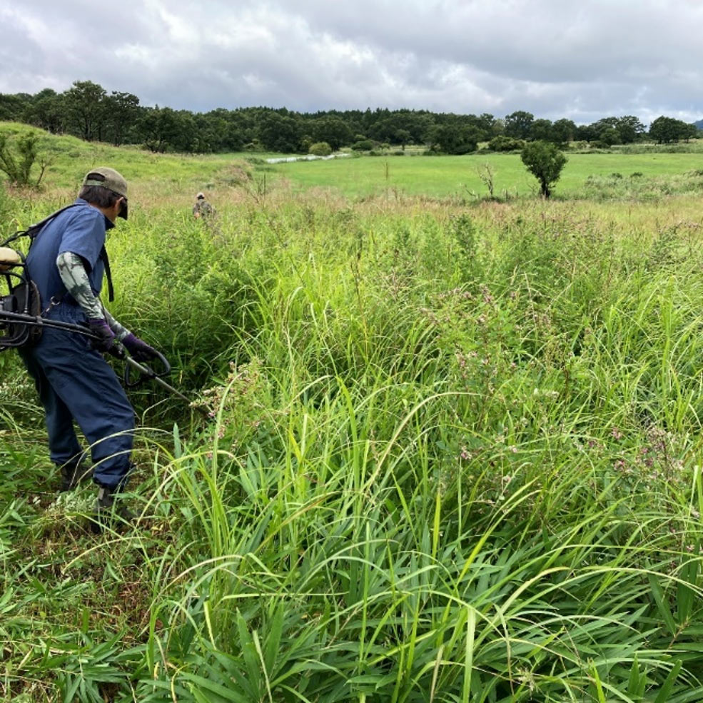 2025年9月7日（日）第9回大分セブンの森