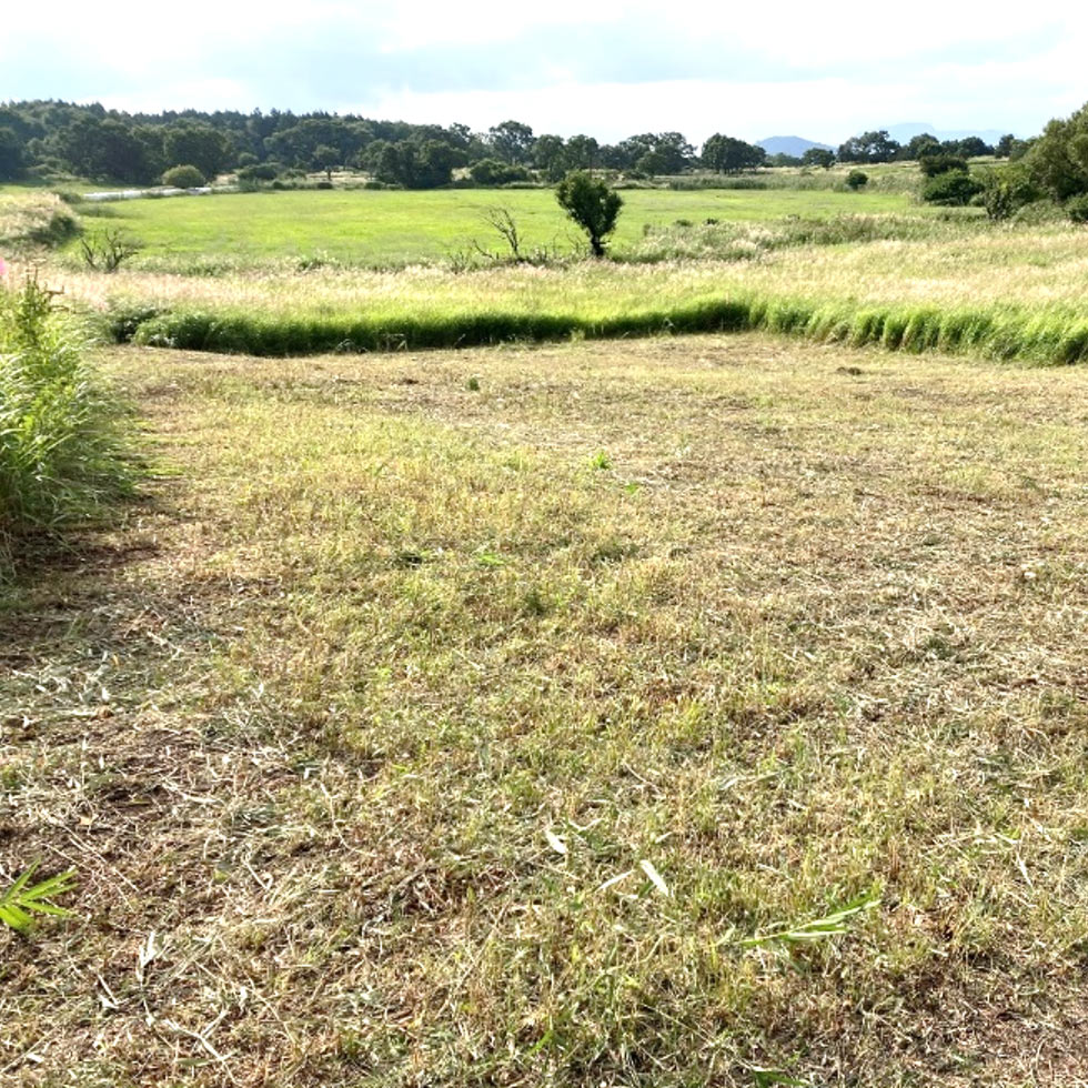 2025年9月7日（日）第9回大分セブンの森