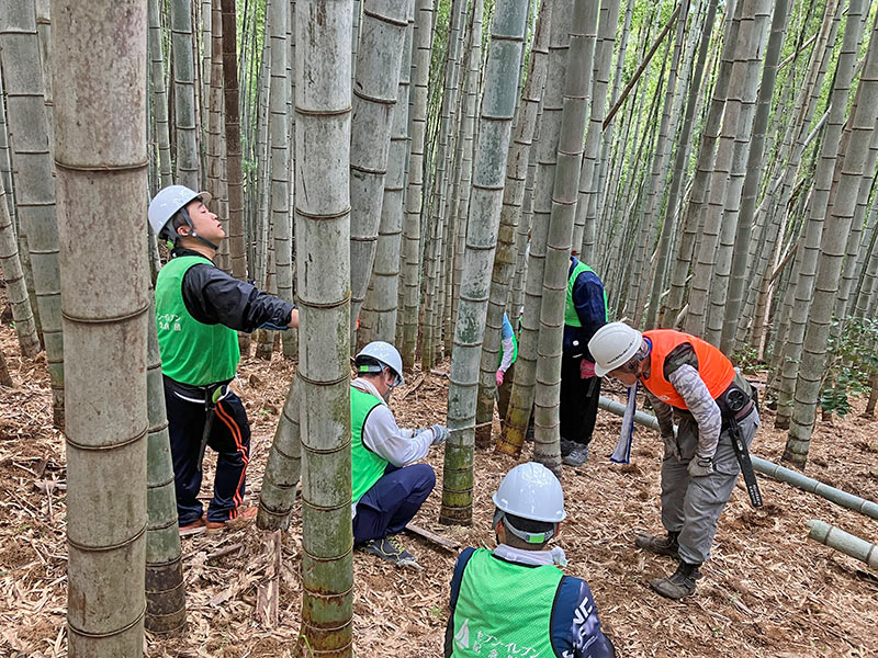 伐採活動の様子