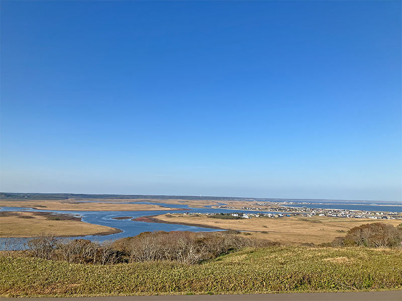 2025年10月4日（土）第11回「霧多布セブンの森」活動報告