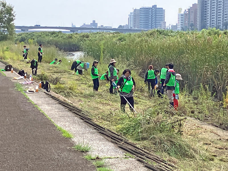 外来種駆除の様子