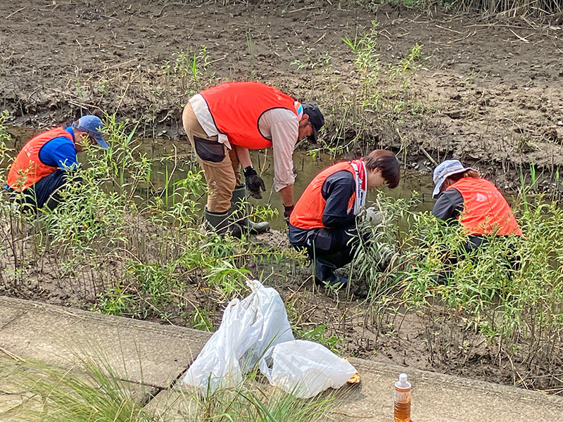 外来種駆除の様子