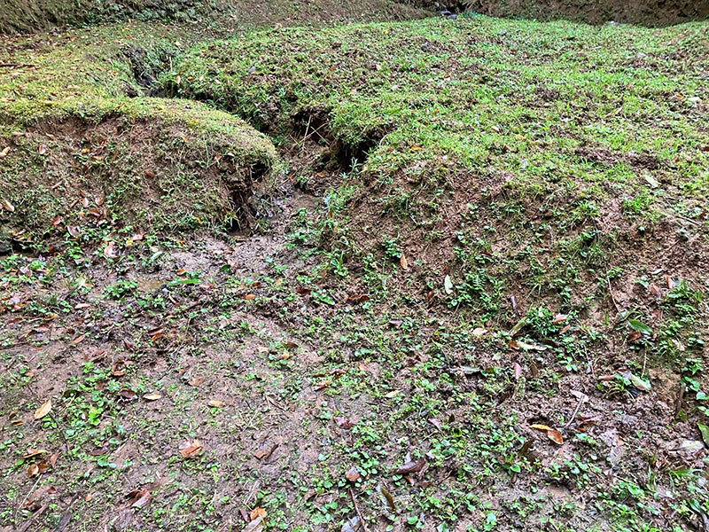 2025年10月18日(土)第16回三重セブンの森