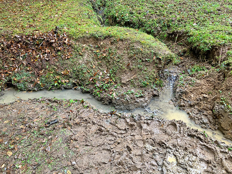 2025年10月18日(土)第16回三重セブンの森