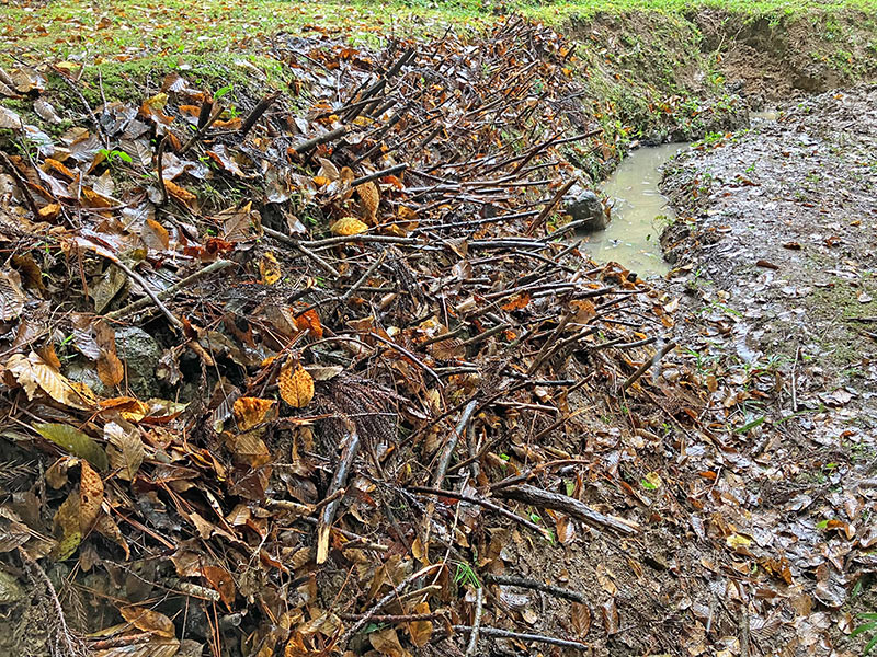 2025年10月18日(土)第16回三重セブンの森
