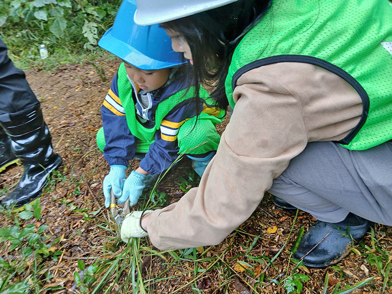 森林整備の様子