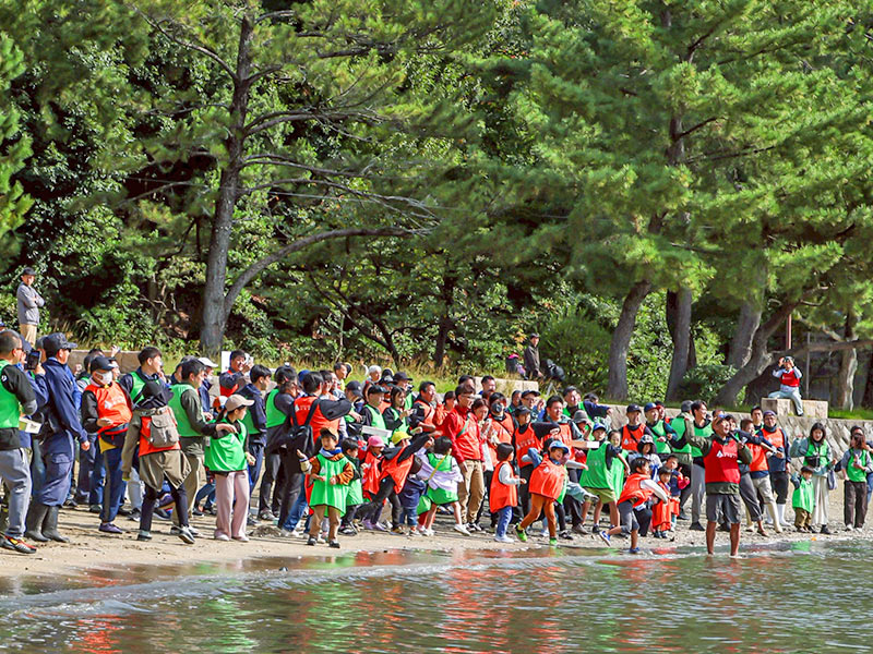 アマモポッドを海に投げ入れ