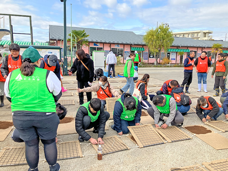 アマモの種の選別と播種作業