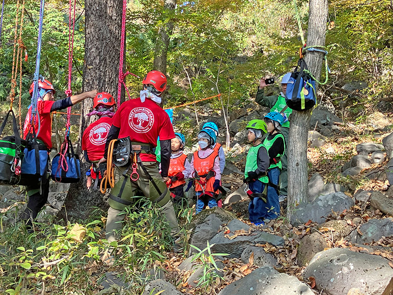 ツリークライミング体験の様子