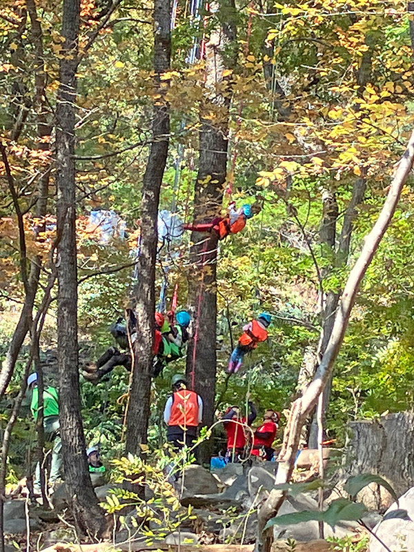 ツリークライミング体験の様子