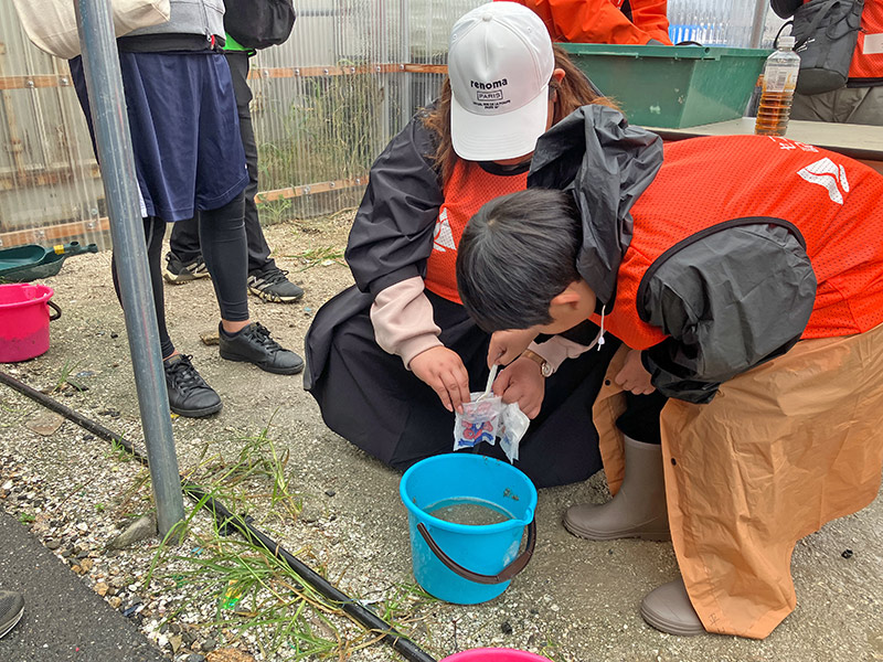 種を集め不織布に入れ、子どもたちは袋に絵を描きました