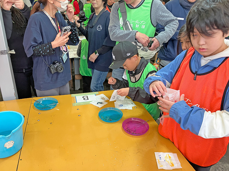 種を集め不織布に入れ、子どもたちは袋に絵を描きました