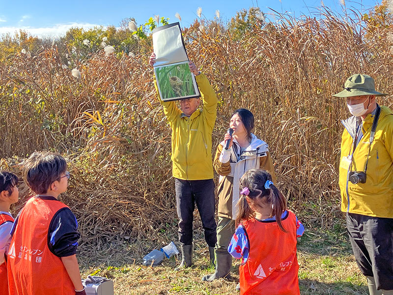 生きもの解説と探索
