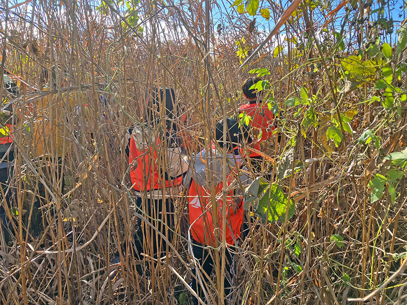 生きもの解説と探索