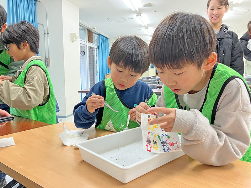 アマモパック作成の様子