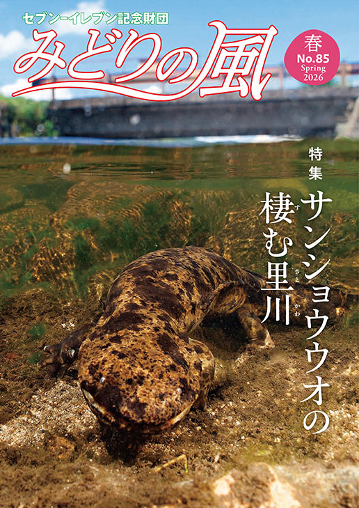 みどりの風2026年春号（vol.85）