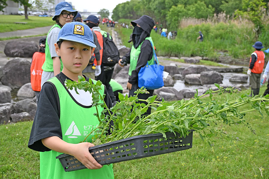 希少な植物の採取・運搬の様子