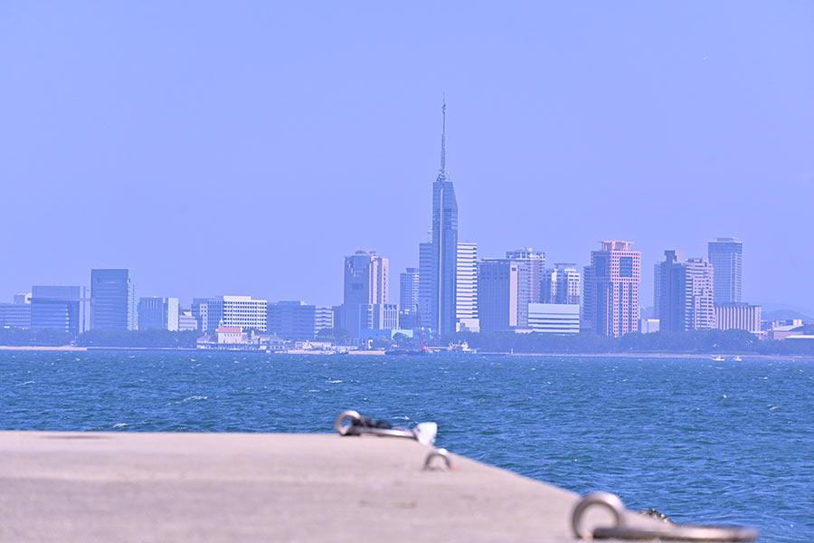2026年5月16日（土）第16回「福岡セブンの海の森」活動報告