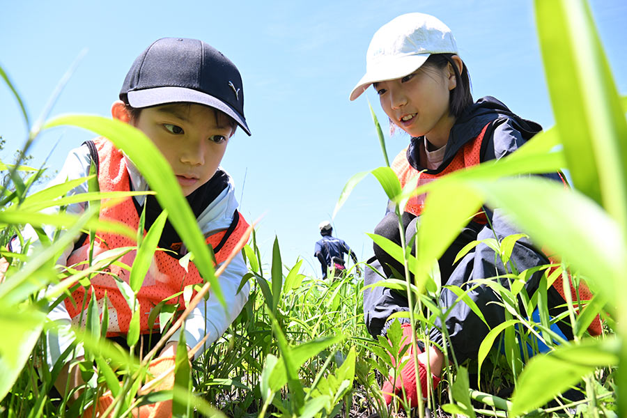 2026年5月23日(土)第10回「大分セブンの森」活動報告