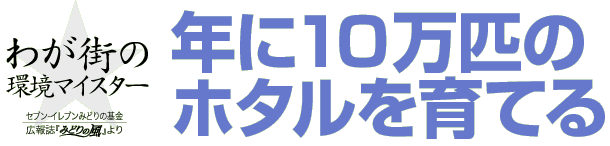 わが街の環境マイスター　年に10万匹のホタルを育てる