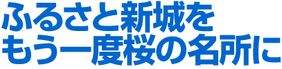 ふるさと新城をもう一度桜の名所に