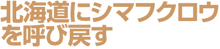 北海道にシマフクロウを呼び戻す