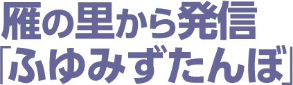 雁の里から発信「ふゆみずたんぼ」