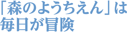 「森のようちえん」は毎日が冒険