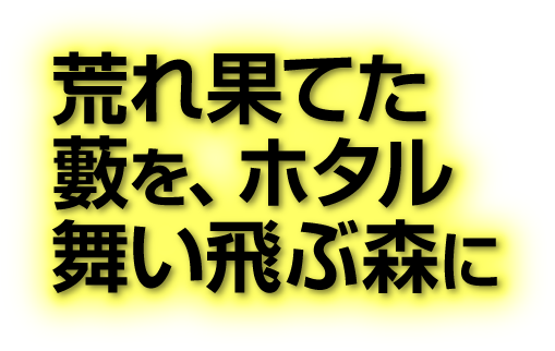 荒れ果てた藪を、ホタルが舞い飛ぶ森に