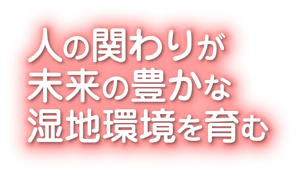 人の関わりが未来の豊かな湿地環境を育む