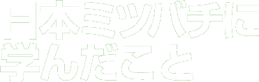 日本ミツバチに学んだこと