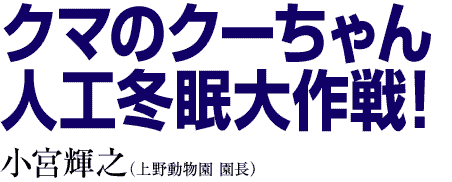 クマのクーちゃん 人口冬眠大作戦！　小宮輝之（上野動物園 園長）